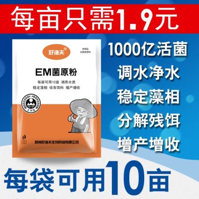 em菌种原粉水产养殖复合芽孢杆菌小龙虾蟹鱼池塘益生乳酸菌浓缩粉
