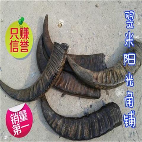 水牛角原料天然黑水牛角角尖实心原料号角牛角匏扳指摆件