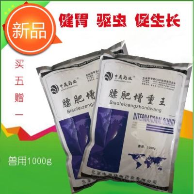 正版世实用肠扁虫病学